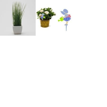 Picture for category Interior Plants And Planters